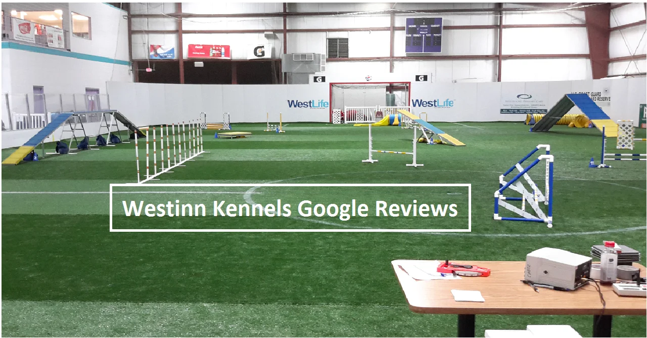 Westinn Kennels Google Reviews