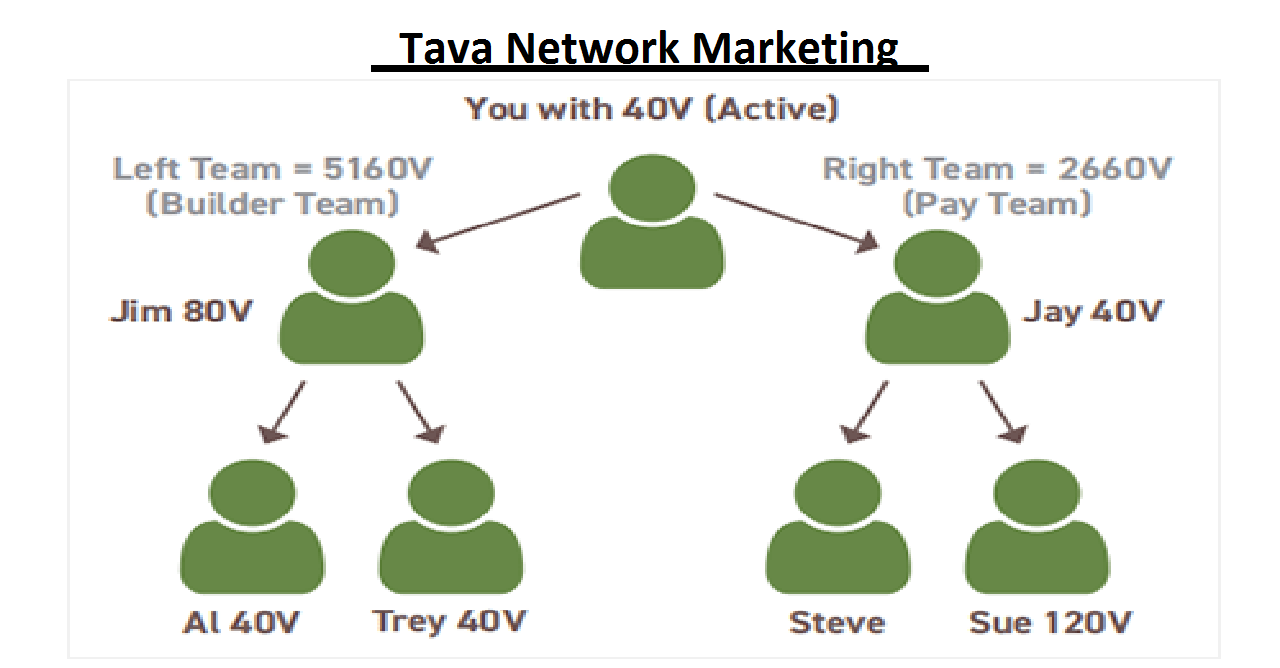 Tava Network Marketing