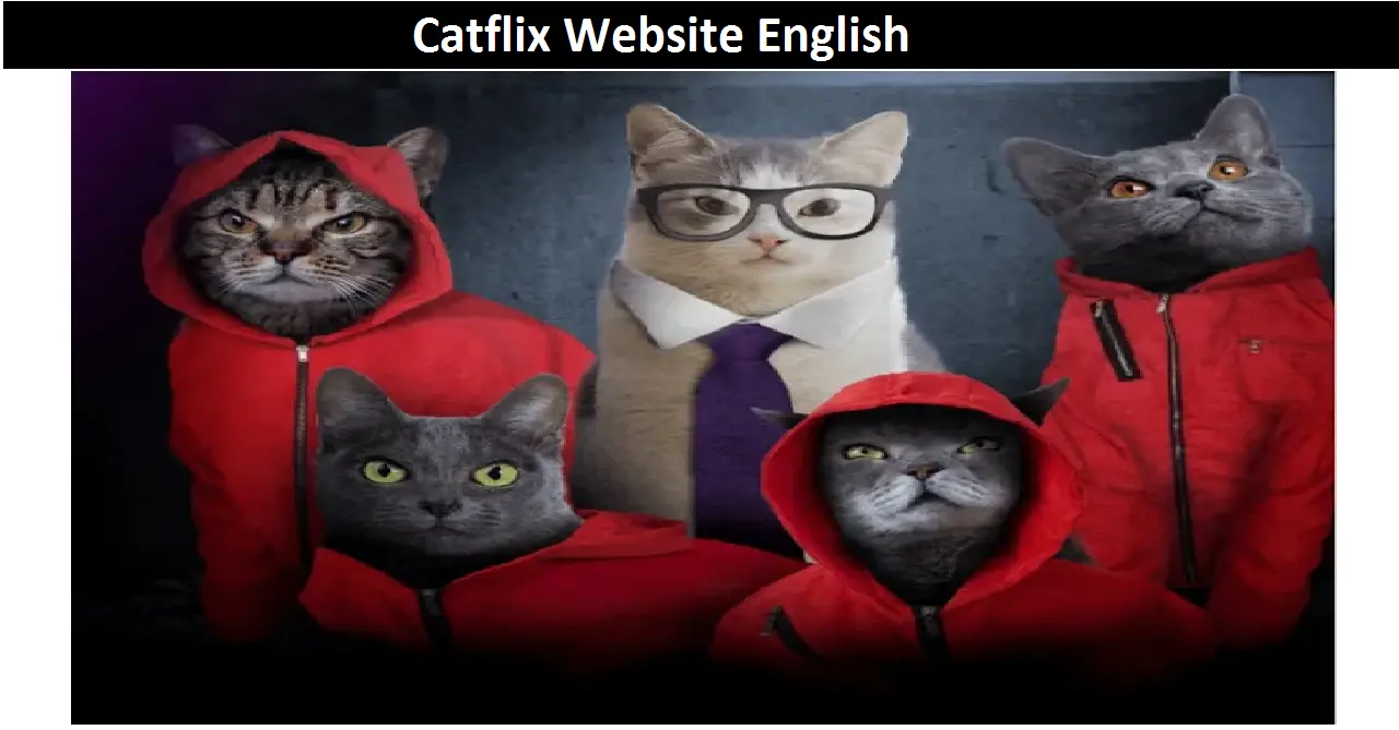 Catflix Website English
