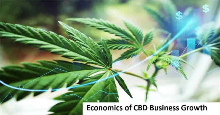 Economics of CBD Business Growth: Why This Industry is Booming?