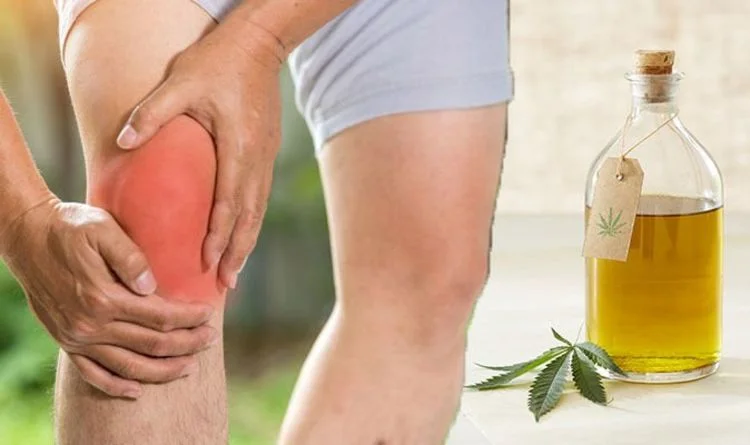 How to use CBD for joint pain? A Beginner’s Guide